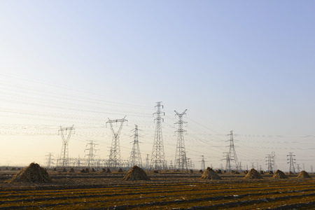 towers in the wild field