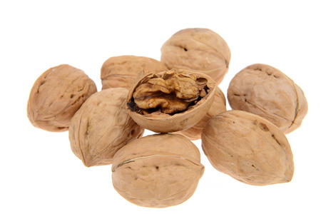 walnuts on white background