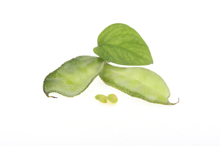 Peas, isolated on a white background