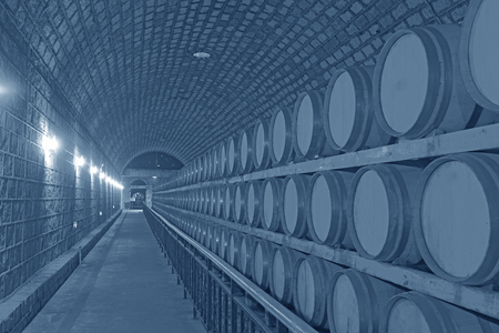 Wine cellar 