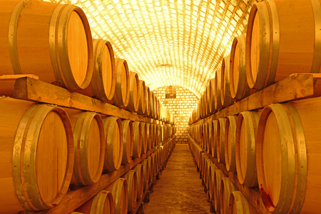 Wine cellar 