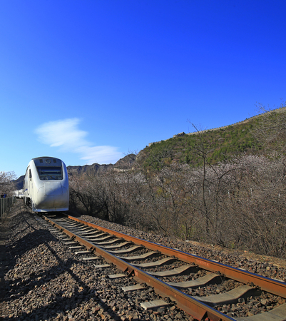 The train rides among the flowers