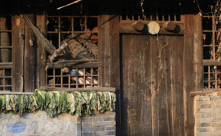 Dilapidated house in the countryの写真素材