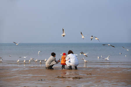 Tourists are playing by the seaの写真素材