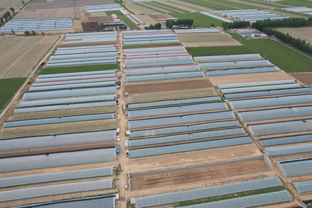 Drone footage of many greenhouses in the fieldの写真素材