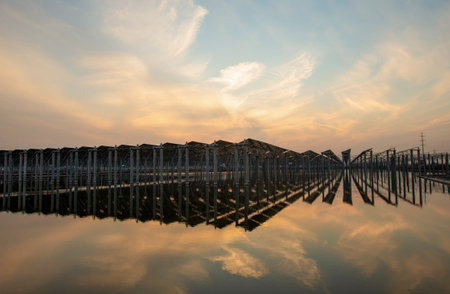 On site construction of photovoltaic panelsの写真素材