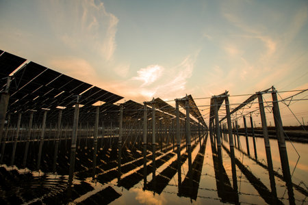On site construction of photovoltaic panelsの写真素材