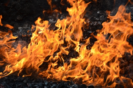 Fire