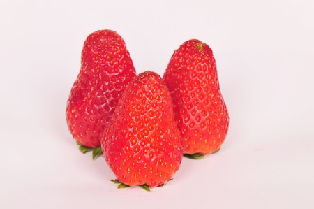 Strawberries in the white backgroundの写真素材