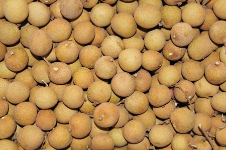Longan の写真素材