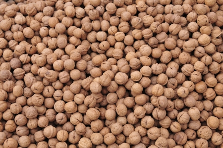 walnut の写真素材
