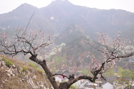 In the north of China small mountain village の写真素材