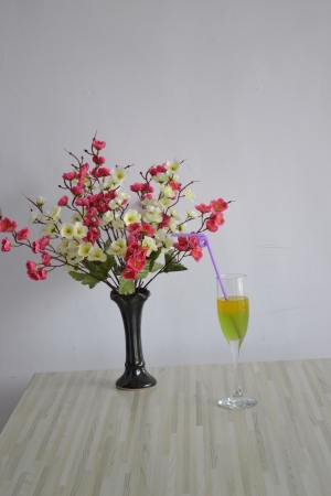 cocktail の写真素材