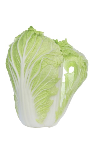 Chinese cabbage の写真素材