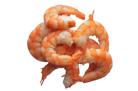 White background on the shrimp の写真素材