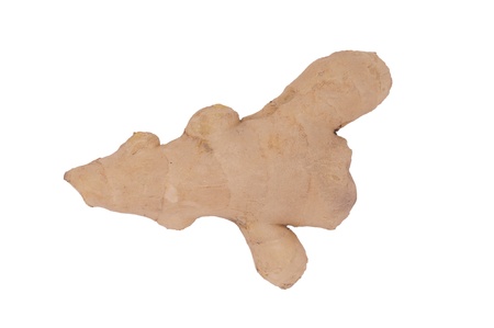 ginger の写真素材