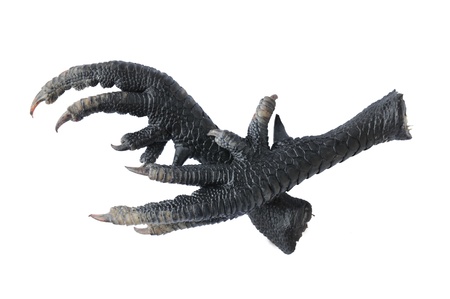 White background chicken claws の写真素材