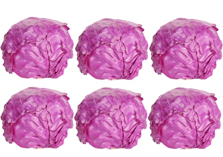 Isolated in the white background of purple cabbage の写真素材