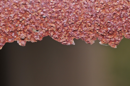 rust  の写真素材
