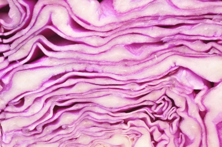 Close distance shoot purple cabbage の写真素材