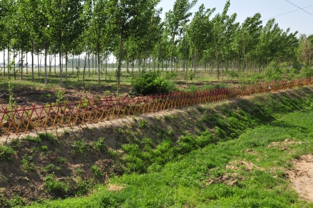 Simple fence  