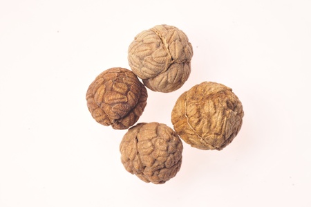  The spices on the white background の写真素材