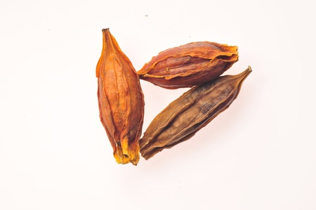  The spices on the white background の写真素材