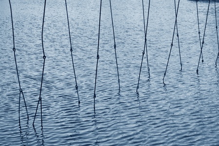 boundary cage in the water