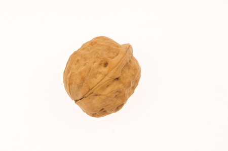 walnut 