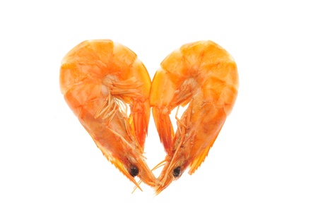 shrimp の写真素材