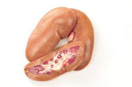 Pig kidney on a white backgroundの写真素材