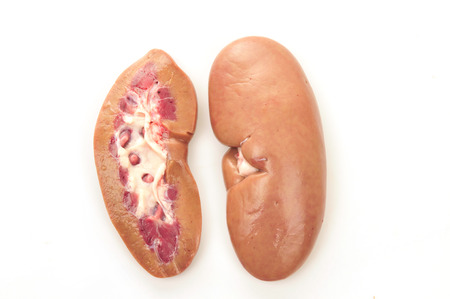 Pig kidney on a white backgroundの写真素材
