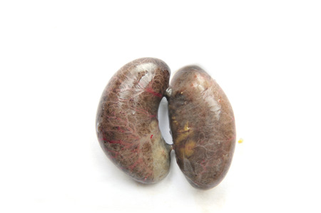 Chicken kidney on white background, close-up images