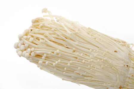 White background of the mushroomの写真素材