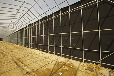 constructing the modern vegetables greenhouseのeditorial素材