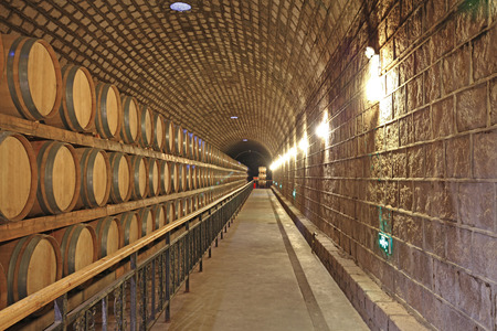 Wine Cellar with Wooden Barrelsのeditorial素材