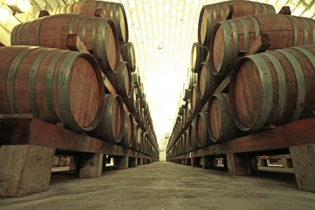Wine Cellar with Wooden Barrelsのeditorial素材