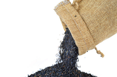 Black sesame seeds on a white backgroundの写真素材