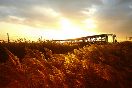 Oil pipeline, the oil industry equipmentの写真素材