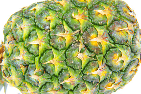 Pineapple on a white backgroundの写真素材