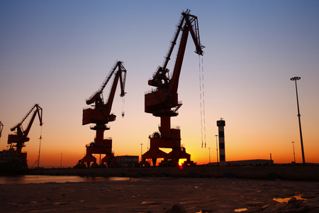Port crane for work in the sunsetの写真素材