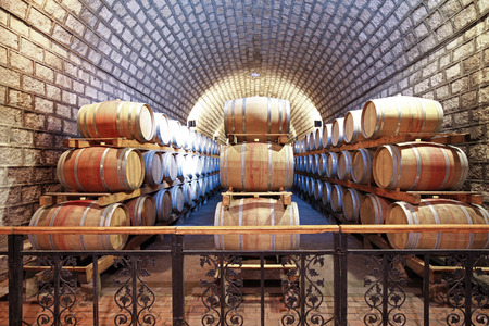Wine Cellar with Wooden Barrelsのeditorial素材