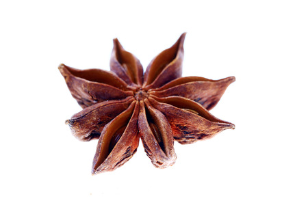Anise isolation in the white backgroundの写真素材