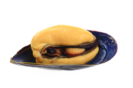 Mussels on a white backgroundの写真素材
