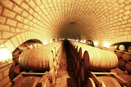 Wine Cellar with Wooden Barrelsのeditorial素材