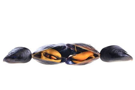 Mussels on a white backgroundの写真素材