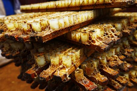 Honeycomb and honeyの写真素材