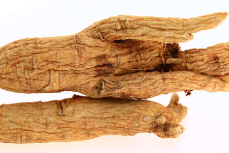 Ginseng on a white backgroundの写真素材