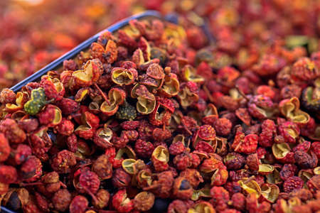 Chinese prickly ash on a white backgroundの写真素材