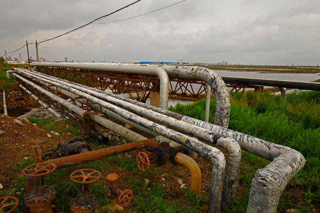 Pipeline of oil fields